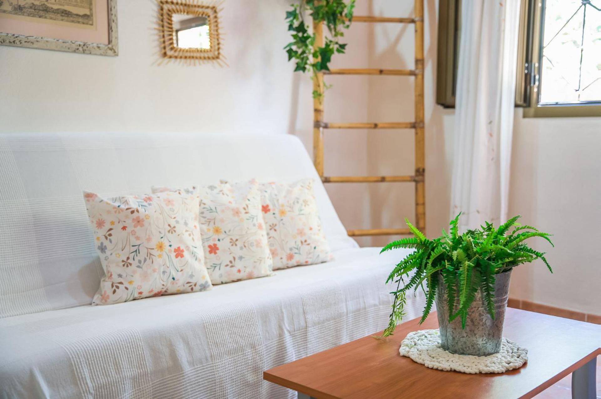 Vakantiehuis Ideal Mallorca - Toni Alcúdia