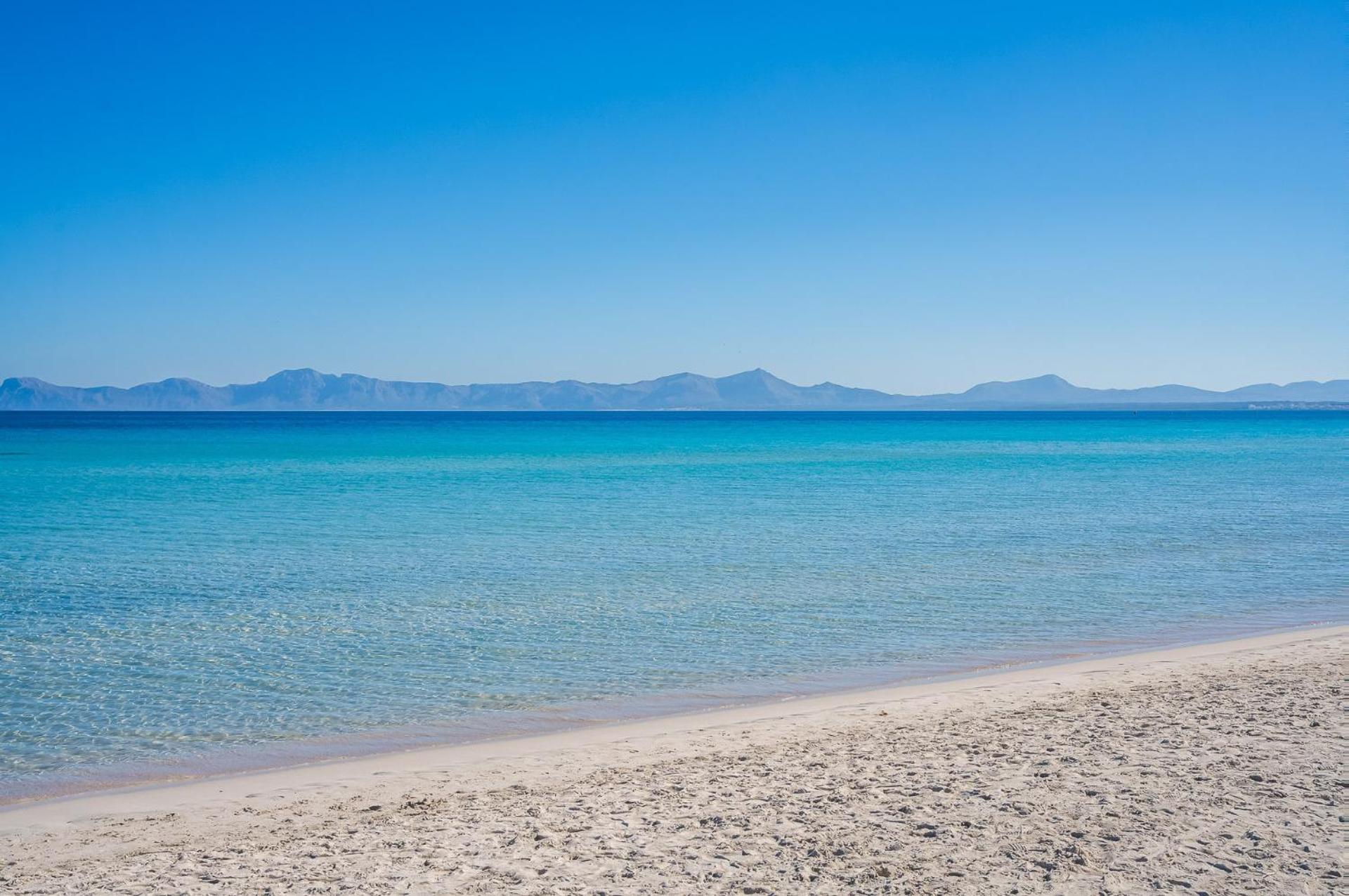 Ideal Mallorca - Toni Alcúdia